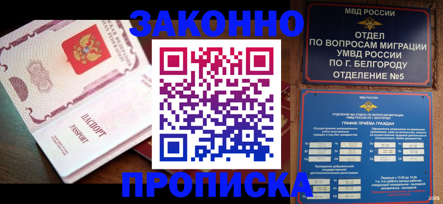 временная регистрация для школы в Коле